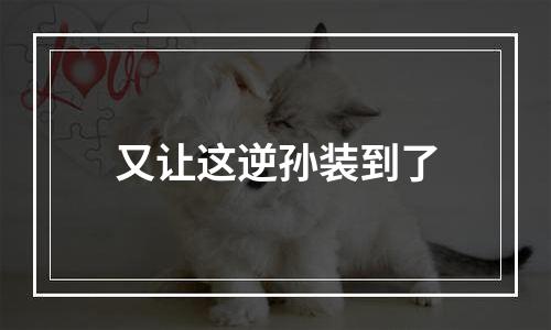 又让这逆孙装到了