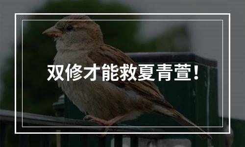 双修才能救夏青萱！