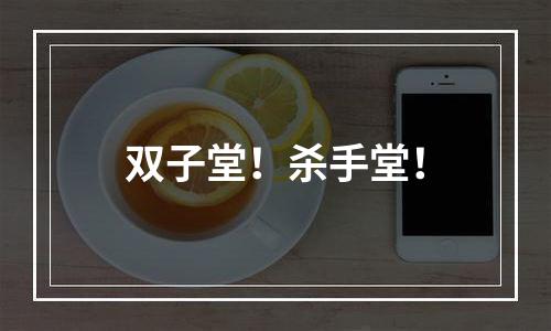 双子堂！杀手堂！