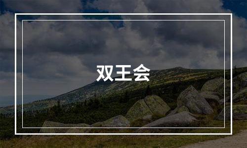 双王会