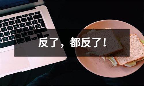 反了，都反了！