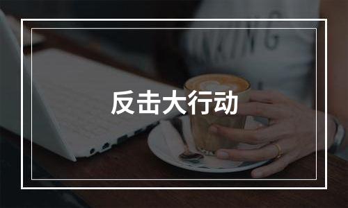 反击大行动