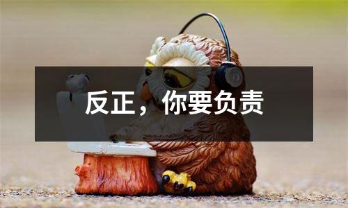 反正，你要负责
