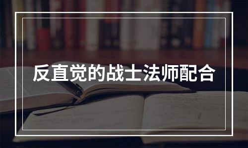 反直觉的战士法师配合