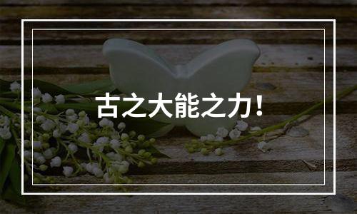 古之大能之力！