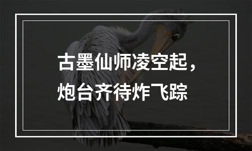 古墨仙师凌空起，炮台齐待炸飞踪