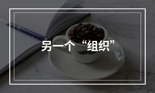 另一个“组织”