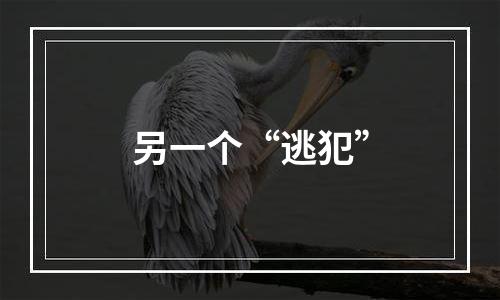 另一个“逃犯”