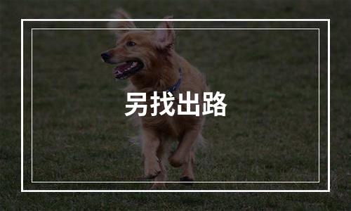 另找出路