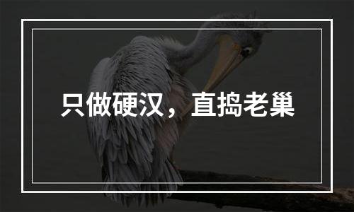 只做硬汉，直捣老巢