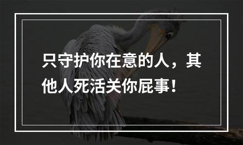 只守护你在意的人，其他人死活关你屁事！