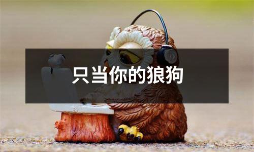 只当你的狼狗