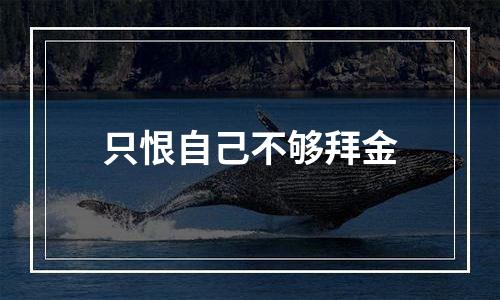 只恨自己不够拜金