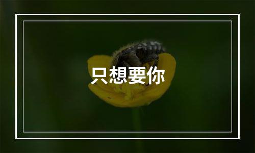 只想要你