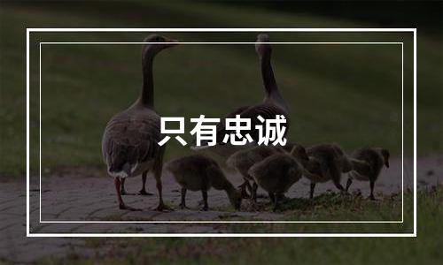 只有忠诚