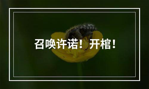 召唤许诺！开棺！