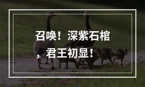 召唤！深紫石棺，君王初显！