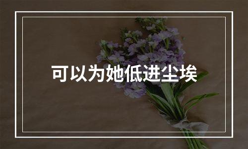 可以为她低进尘埃