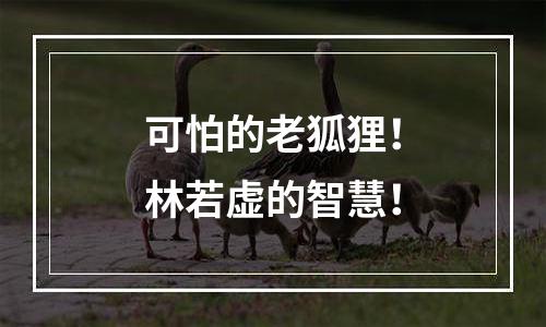 可怕的老狐狸！林若虚的智慧！