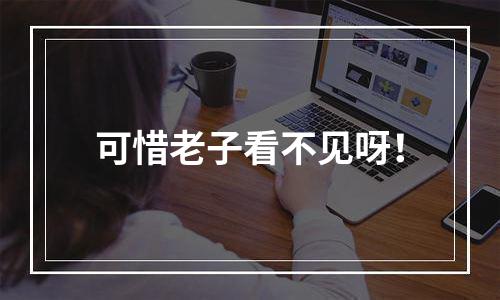 可惜老子看不见呀！