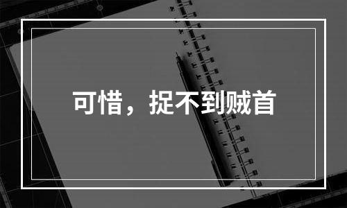 可惜，捉不到贼首