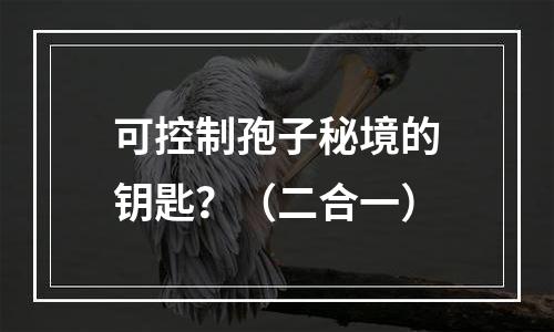可控制孢子秘境的钥匙？（二合一）