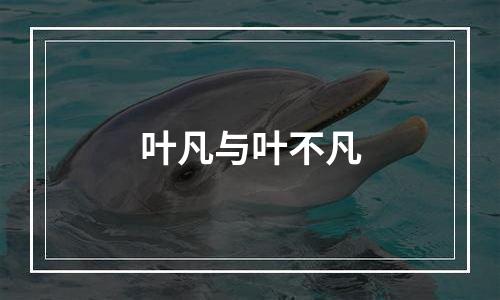 叶凡与叶不凡