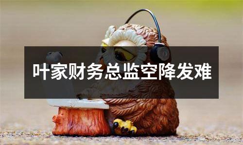 叶家财务总监空降发难