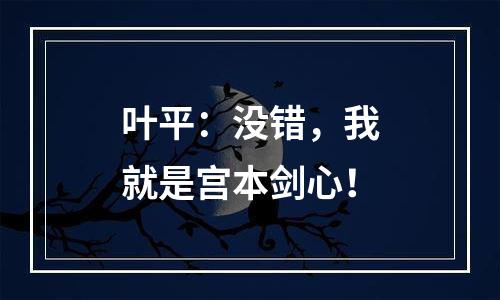 叶平：没错，我就是宫本剑心！