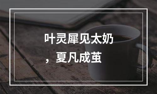 叶灵犀见太奶，夏凡成茧