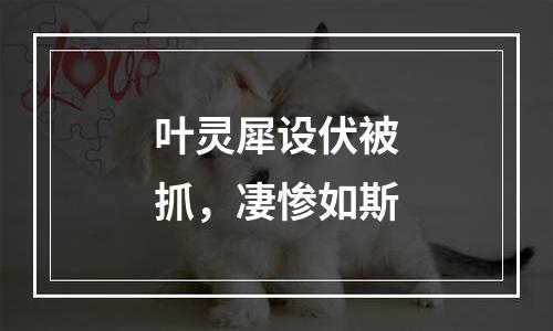 叶灵犀设伏被抓，凄惨如斯