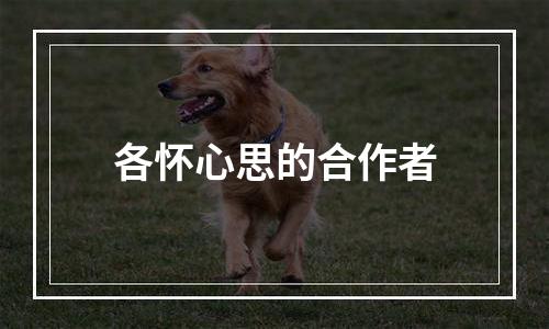 各怀心思的合作者