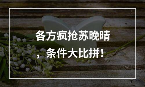 各方疯抢苏晚晴，条件大比拼！