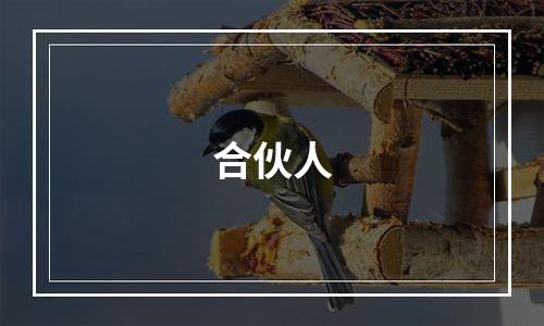 合伙人