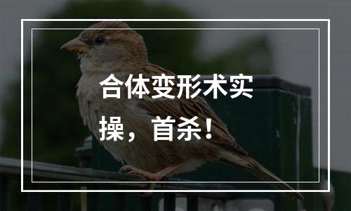合体变形术实操，首杀！