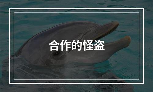 合作的怪盗