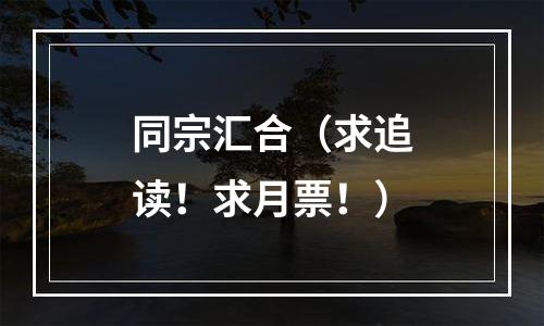 同宗汇合（求追读！求月票！）