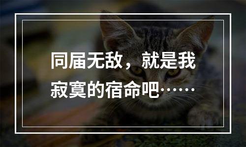 同届无敌，就是我寂寞的宿命吧……
