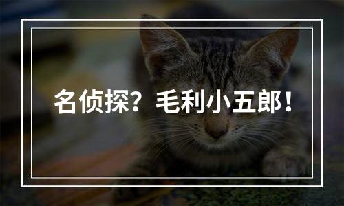 名侦探？毛利小五郎！