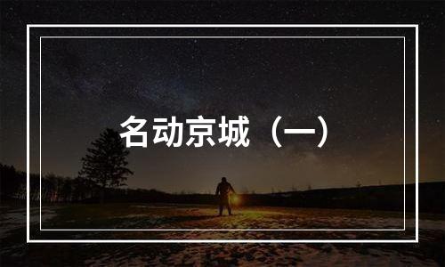 名动京城（一）