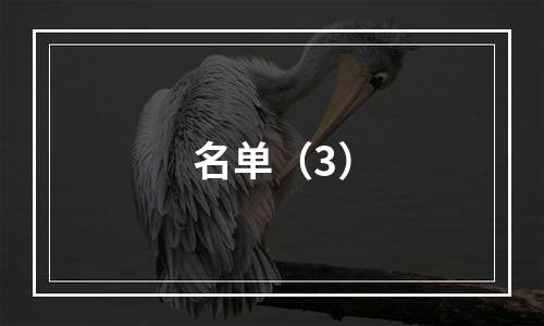 名单（3）