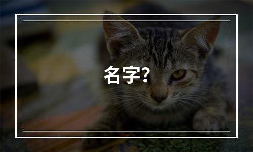 名字？