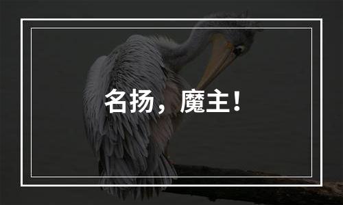 名扬，魔主！