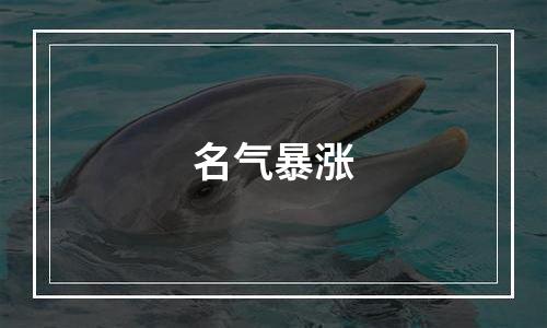 名气暴涨