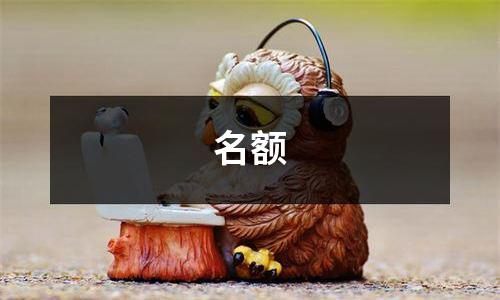 名额