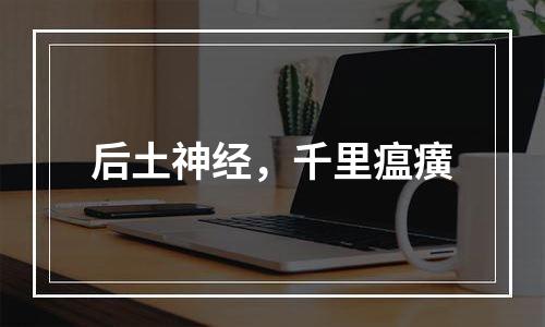 后土神经，千里瘟癀