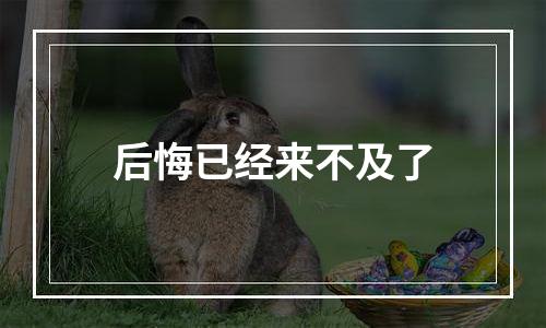 后悔已经来不及了