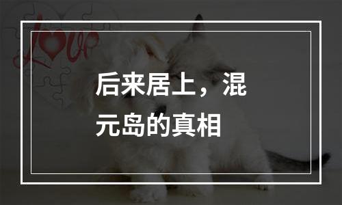 后来居上，混元岛的真相