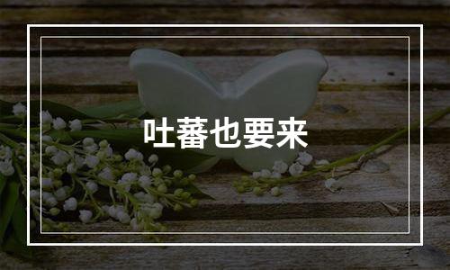 吐蕃也要来