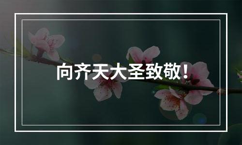 向齐天大圣致敬！